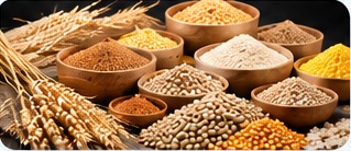 صنایع غذایی و مواد اولیه